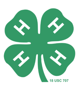 h logo png transparent small